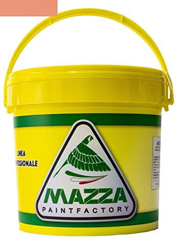 MAZZA Pittura Al Quarzo Per Muri Interni Ed Esterni Lt 14 Ad Alto Potere Coprente Colorificio (Salmone2 Mz1165)