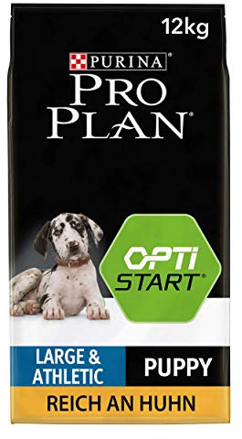 Pro Plan Large Athletic Puppy Healthy Start, Welpenfutter trocken, reich an Huhn, 1er Pack (1 x 12 kg)