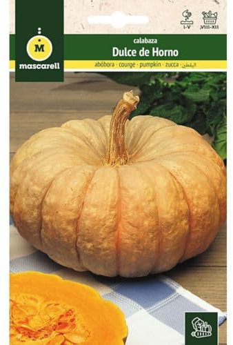 Mascarell Semillas, CALABAZA, Semillas Huerto, CALABAZA DULCE DE HORNO TOTANERA, Crea tu Propio Huerto Urbano y Cultivo en Casa, Plantas Hortícolas, 4 Gramos