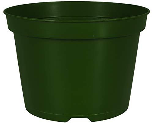 The HC Companies 8 Round Grower Pot 8x8x6 Round Plastic Grower Pot in Green