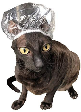 Kotomoda Duschhauben für Sphynx Katzen und kleine Haustiere 20St