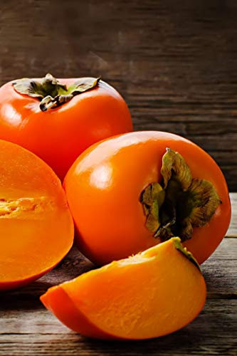 Pianta di Cachi o Kaki Albero di cachi o Kaki pianta vera di cachi pianta di cachi età 2 anni venduta da eGarden.store (Cioccolatino)