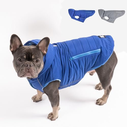 PAW WOW IMMI Hundejacke | Hundemantel | Jacke für kleine, mittelgroße und große Hunde für kalte Tage (Blau, XS)