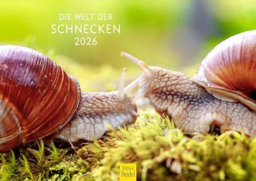 Edition Seidel Calendario Premium El mundo de los caracoles 2026, formato DIN A4, calendario de pared, calendario de animales, caracol y animales