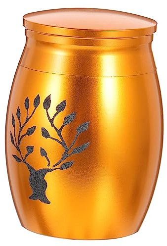 Gatuida Urne Funéraire Acier Inoxydable Boîte à Cendres Commemorative Urne pour Poils de Chat Design Durable Souvenir pour Animaux de Compagnie