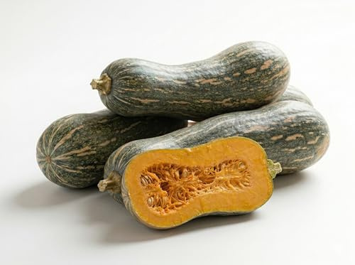 Semi di Zucca Gialla di Napoli 6g | Zucca da Coltivare per Orto, Giardino e Serra | Alta Germinazione, Raccolto Abbondante | Semi Ortaggi per Orto Domestico