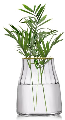 VanEnjoy 7 inch Clear Simple Grey Glass Flower Vase, Decorative Gilded Rim Vase Home Decor for Indoor Centerpiece