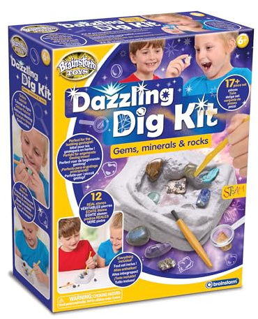 Brainstorm Toys Kit de fouille éblouissant – Ensemble d'excavation de plus de 17 pièces avec 12 véritables pierres précieuses, roches et minéraux | Kit de géologie STEM avec outils et sac de rangement