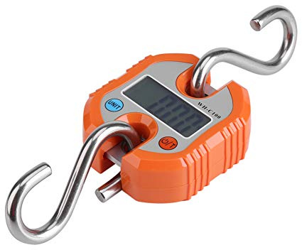 Bilancia per bagagli Bilancia elettronica Bilancia da pesca digitale con gancio postale Mini peso digitale portatile con display LCD per viaggi all'aperto Casa 0g~100kg