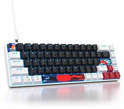 SOLIDEE 65% Teclado mecánico para juegos,68 teclas con interruptores rojos lineales,Teclado mecánico con cable con retroiluminación LED,Teclado ergonómico compacto para PS5/PS4/Xbox(68 White_Black)