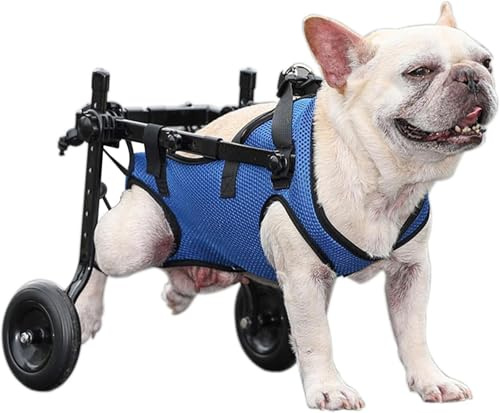 Fauteuil Roulant Pour Chien Pour Pattes ArrièRe, Aides à La Mobilité Pour Animaux HandicapéS, Attelle Pour Pattes Et Soutien Des Hanches Pour Chien(X-Small)