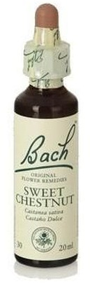Sweet Chestnut F.B. (Bach Flowers) 20 ml Original Bachblüten