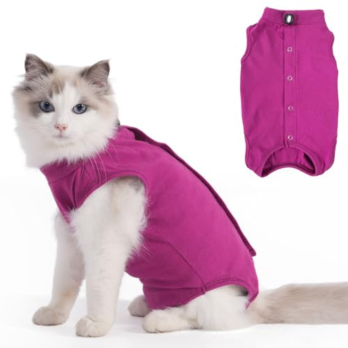 Axcimond Combinaison de convalescence pour chat - Combinaison chirurgicale post-chirurgie pour chat - Combinaison post-chirurgie - Vêtement pour chat après chirurgie - Alternative au collier et au
