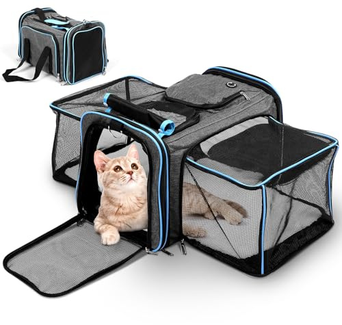 Hunderucksack Erweiterbar - Hunderucksack bis 15kg, Faltbare Katzen Rucksack für Katzen Hunde mit Innerer Sicherheitsleine und Haustiermatte Katzen Transport Tasche max