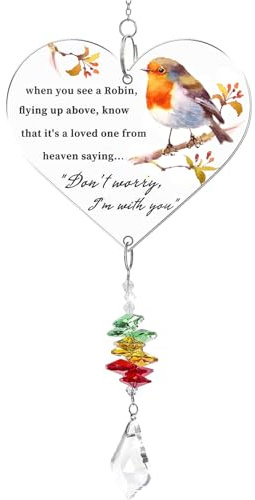 Robin Memorial Gifts for Loved Ones, Acrylic Heart Keepsake Present Warm Hanging Heart Plaque Gifts with Poem Grave Decorations In Memoriam