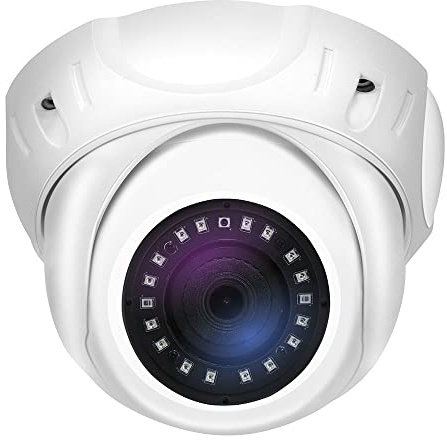 GW Security 5MP IP PoE Outdoor Indoor Microphone Dome Security Camera (GW5091IP)