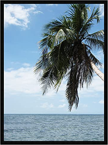 Cadre Photo Mural 40x55 cm / 55 x 40 cm Cadres Noir, 2 cm de Largeur, Cadre en Bois