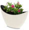 matches21 HOME & HOBBY Ovale Pflanzschale für draußen in 20 cm- Hohe Vintage Schiff Deko-Schalen in Creme-weiß als Blumen-Topf Pflanztopf - Jardiniere für Garten Balkon oder Friedhof als Grab-Schmuck