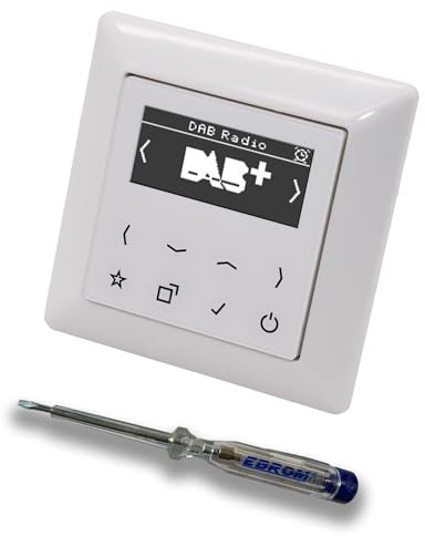 JUNG Smart Radio Unterputzradio DABAWW DAB+ Set mit 1-fach Rahmen im JUNG AS 500 System, Farbe: alpinweiß und EBROM Phasenprüfer zur Montage des DAB Plus Geräts