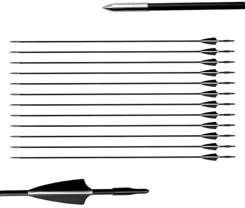 biubiusot 12er Pfeile für Bogenschießen 31 Zoll Bogenpfeile Jagdpfeile Pfeile Übungspfeile Fiberglaspfeile für Anfänger Pfeil und Bogen Zielübung(schwarz)