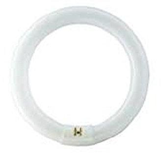 2x Philips MASTER TL-E Circular Super 80 40W/840 G10q Neu Ovp