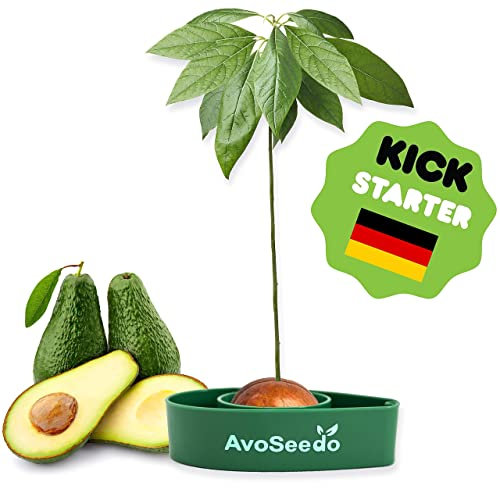 Garten Kleine Geschenke Für Frauen Und Männer - Besondere Geburtstagsgeschenk/Pflanzen Sie Ihren Eigenen Avocadobaum/Dekoration Für Ein Schöneres Zu Hause Pflanz Set