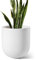LE TAUCI Pot de Fleurs de 25cm, Jardinière en Céramique pour Plantes d'Intérieur et d'Extérieur, Grande Jardinière pour Maison, Jardin et Bureau, Pot à Plantes avec Trou de Drainage, Blanc