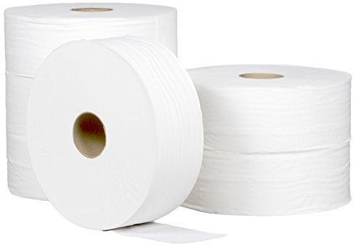 Papier Toilette Hygiénique - Maxi Jumbo | Ecolabel - 350m | Lot de 6