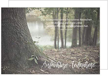 Edition Seidel Premium Trauerkarte mit Umschlag. Beileidskarte mit Spruch Trauer Karte aufrichtige Teilnahme Wald Baum Laub Abschied Anteilnahme Mitgefühl (T913 SW022)