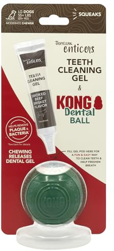 TropiClean Enticers Kong Dental Ball Kit for Large Dogs | Teeth Cleaning Gel | Smoked Beef Brisket Flavor | 1 oz.