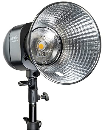 Walimex pro Newcomer 300 Studioblitz II - 300 Ws Blitzleistung, auslösen per Funk 2,4GHz, LED-Einstelllicht, Blitzdauer 1/800-1/1200s, Bowens/walimex pro-Anschluss, ideal für kleine Studios