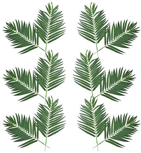 artplants.de Dekorativa blad Kokospalmblad Set 12 stycken, 80 cm