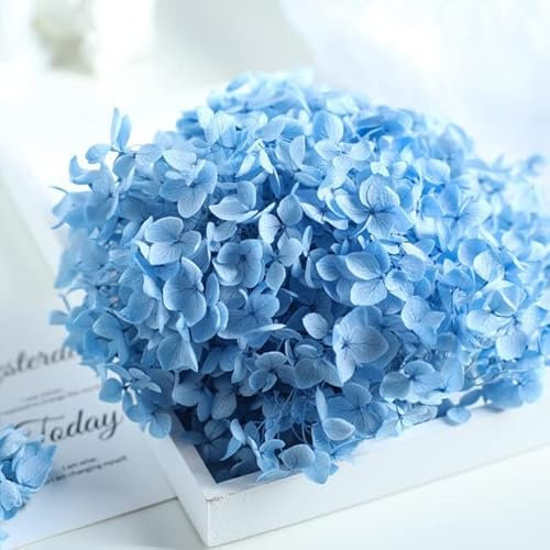 LEEYOX 15 g/Borsa Ortensia Fiore Secco Pianta Naturale Conservato Foglie di Fiori Freschi per Artigianato Fai da Te Decorazione Fiori Eterni Materiale