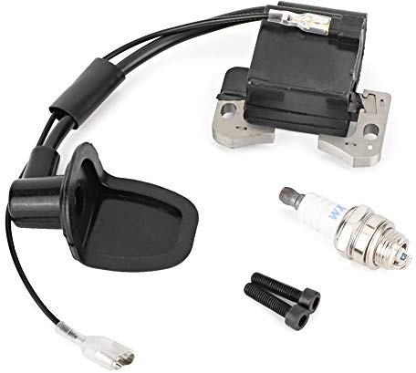 Tändspole Pack, Motorcykel Tändspole, Tändmodul Spole Passar för Pocket Bike L7T Tändstift Tändspole 49CC 47CC ATV