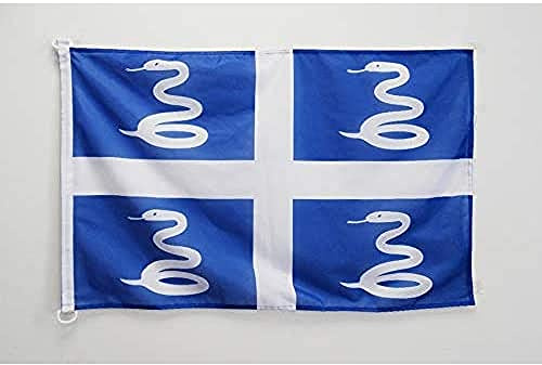 AZ FLAG Pavillon Martinique 150x90 cm Maille Bloquée Anneaux Plastique | Usage extérieur et nautique Pavillon nautique martiniquais résistant aux intempéries avec coutures doubles et bords renforcés