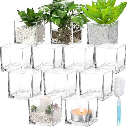 8 cm High Clear Glass Cube Vase - 12 Pcs Exquisite Square Small Flower Vases - Transparent Glass Vases Bulk for Candles, Flowers, Pebbles, Shells, Wedding Table Decoration
