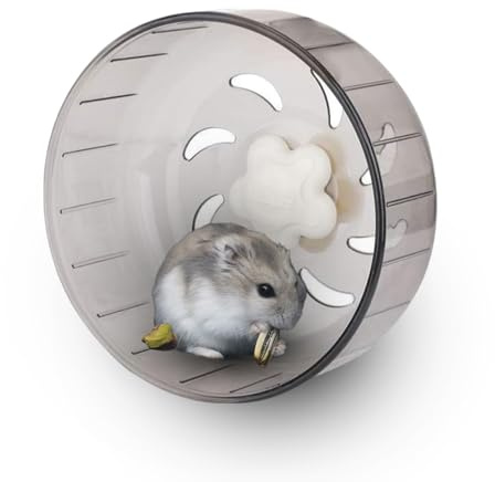 Rueda para Hámster, 13Cm Rueda De Ejercicio para Animales Pequeños Rueda Corriente Silenciosa Transparente Rueda De Ejercicio para Mascotas para Hamster Gerbil Conejillo De Indias