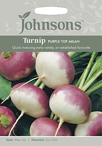 Johnsons Turnip Purple Top Milan