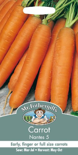 Mr Fothergills - Pictorial Packet - Vegetable - Carrot Nantes 5-2000 Seeds