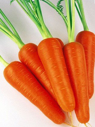 Heirloom Heritage Japanese Baby SHIN KURODA Carrot carottes Seeds Certified Organic Grower
