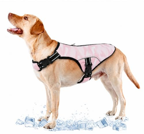 Manteau Rafraichissant pour Chien, Veste D'été Cool Respirante Gilet Refroidissement Veste Gilet Estival Chiens Vêtements Rafraîchissant pour Chiens Activités en Extérieur(Rose, 2XL)