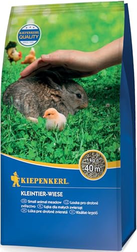 Kiepenkerl Kleintier-Wiese 651609, 1 kg - Rasensamen für Tiere, schnellkeimend, winterhart, ideal für Kleintierrasen, gesunde Frischfutterquelle, hoher Zierwert