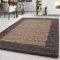 Hochflor Teppich Wohnzimmer Bordüre Design Schlafzimmer Esszimmer Flur Küchenteppich Weich & Flauschig Langflor Pflegeleicht Rechteckig Teppich in Farbe: Taupe, Grösse: 300 x 400 cm