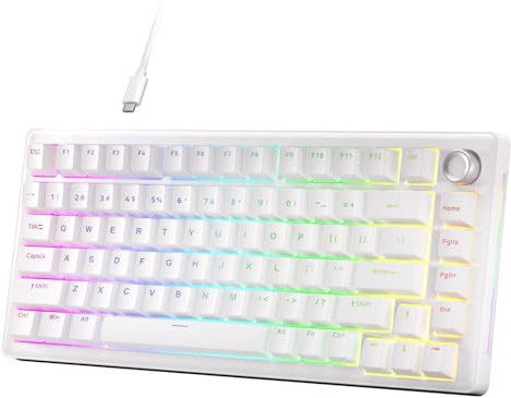 Dierya DK68E Tastiera Gaming, 60% Tastiera Meccanica Gasket con Manopola,Hot-Swap RGB, Compatta 66 Tasti Anti-Ghosting, Layout QWERTY-US, DK61se (Bianco-DK81E, Interruttori Lineari Creamy)