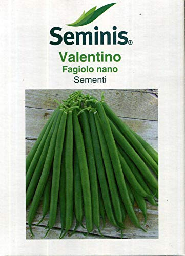 Seminis sementi di legumi piselli, fagioli, fagiolini di qualità per uso hobbystico in confezioni varie (fagiolino nano Valentino, 250 grammi)