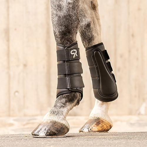 SUNRIDE guêtres de Dressage pour Chevaux (Set de 2) en Cuir véritable de première qualité et néoprène pour la Protection Contre Les blessures (L/31 cm, Noir)