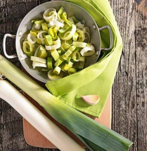 300 Körner POIREAU ANCIEN POLONAIS (Allium porum BARTEK) E205 POLNISCHE LAUCHSAMEN