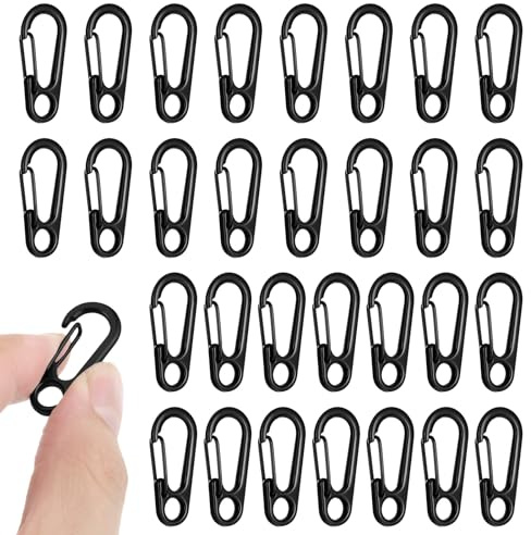 30 PCS Mini Carabiner Clip, Metal Spring Snap Hook Keychains Small Carabiner Clip for Keys, Micro Carabiners with a Transparent Storage Box Key Carabiners Clips Sport Accessories for Outdoor Camping