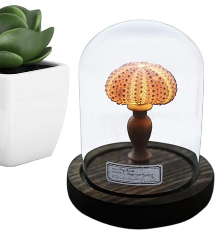 Murex - Lámpara de noche náutica con conchas marinas, luz nocturna de concha costera, lámpara decorativa inspirada en la playa para dormitorio, sala de estar o decoración del hogar, ideal para amantes