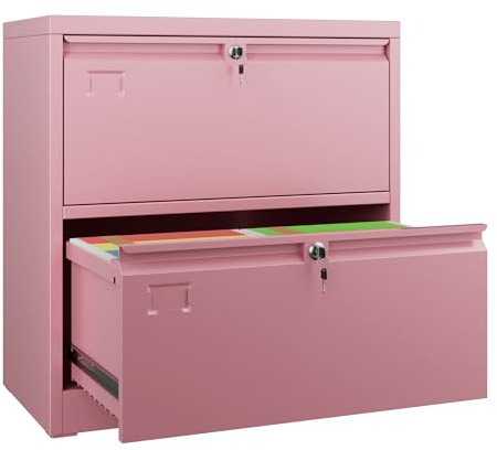 SUXXAN 2 Drawer File Cabinet, Lateral Filing Cabinet with 2 Locks for Home Office, Black File Cabinets with Business Card Holder for Letter/Legal/F4/A4 Hanging Files